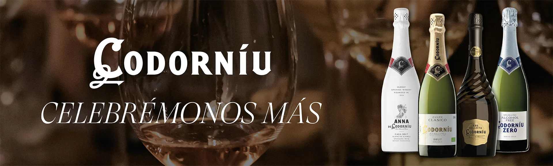 Banner Principal 6